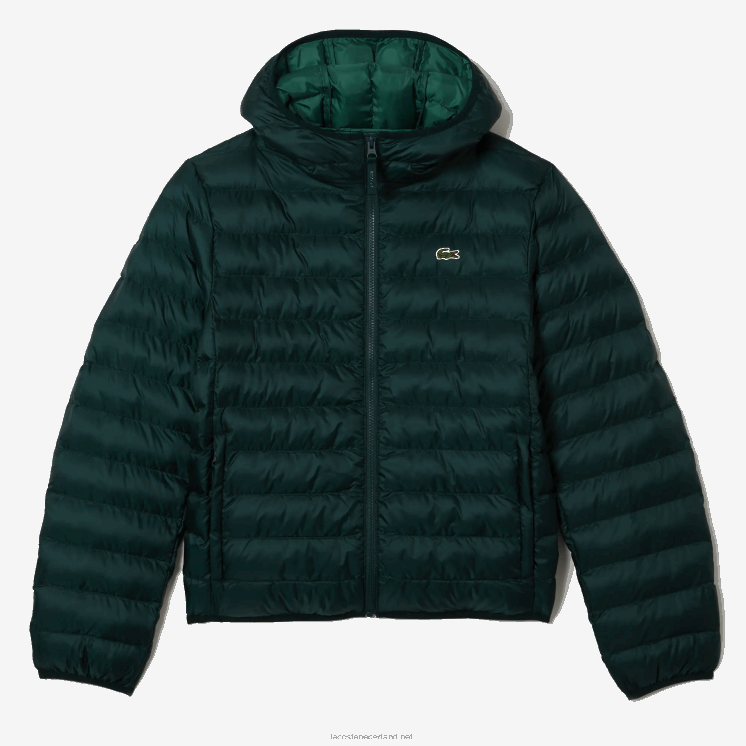 Lacoste gewatteerd jack met capuchon 0828H1265 groen yzp Heren