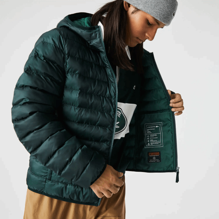 Lacoste gewatteerd jack met capuchon 0828H1265 groen yzp Heren