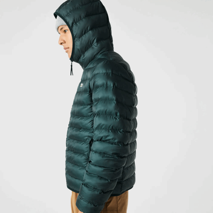 Lacoste gewatteerd jack met capuchon 0828H1265 groen yzp Heren