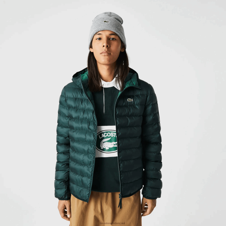 Lacoste gewatteerd jack met capuchon 0828H1265 groen yzp Heren