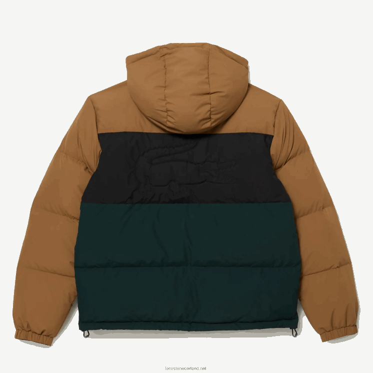 Lacoste gewatteerde waterafstotende colorblock jas 0828H1227 bruin zwart groen tpv Heren