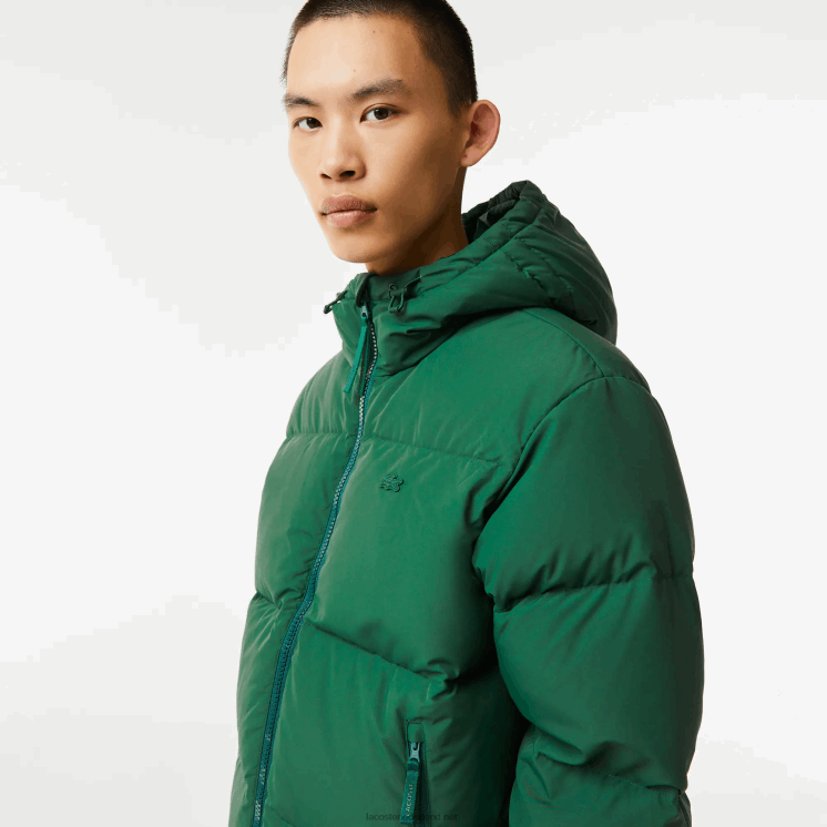 Lacoste gewatteerde waterafstotende jas 0828H1211 groen 132 Heren