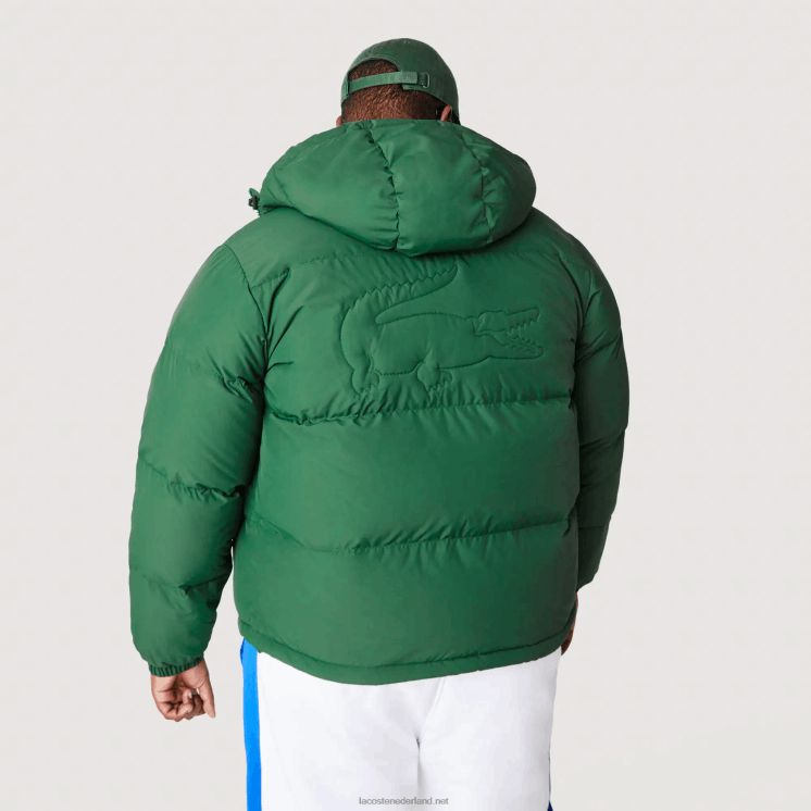 Lacoste gewatteerde waterafstotende jas 0828H1211 groen 132 Heren