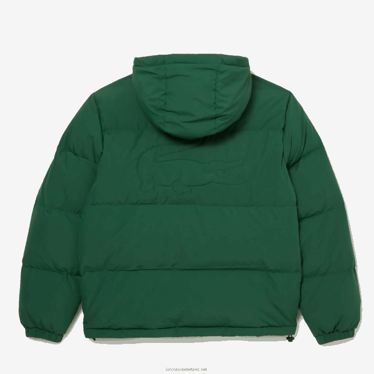 Lacoste gewatteerde waterafstotende jas 0828H1211 groen 132 Heren