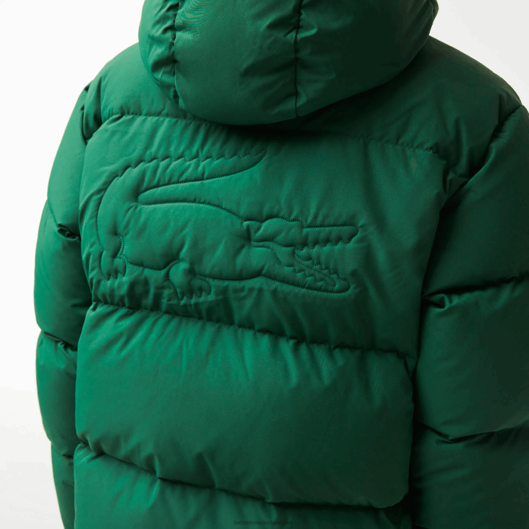 Lacoste gewatteerde waterafstotende jas 0828H1211 groen 132 Heren