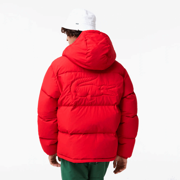 Lacoste gewatteerde waterafstotende jas 0828H1212 rood 240 Heren