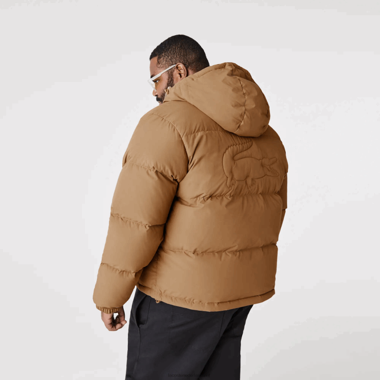 Lacoste gewatteerde waterafstotende jas 0828H1231 bruin z0w Heren