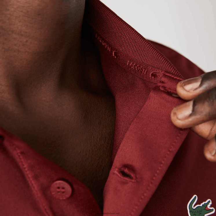 Lacoste sport golfpolo met driekleurige strepen 0828H825 bordeaux rood groen blauw yjy Heren