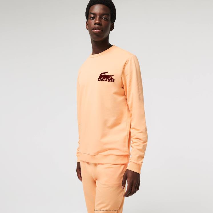 Lacoste loungesweatshirt van katoenfleece 0828H1389 lichtoranje bordeaux rz6 Heren