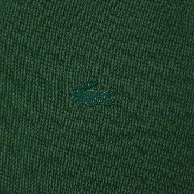 Lacoste sport x theo curin hoodie van biologisch katoen 0828H1123 groen marineblauw nl7 Heren