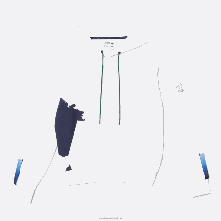 Lacoste sport x theo curin hoodie van biologisch katoen 0828H1124 wit marineblauw groen ppj Heren