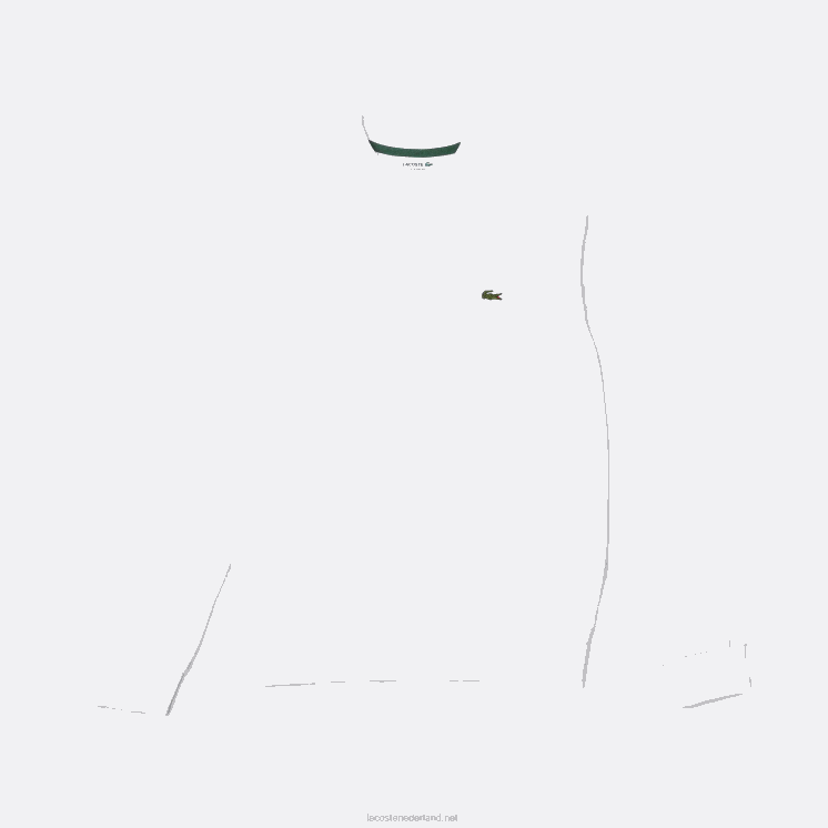 Lacoste sweatshirt van biologisch geborsteld katoen 0828H272 wit 001 Heren