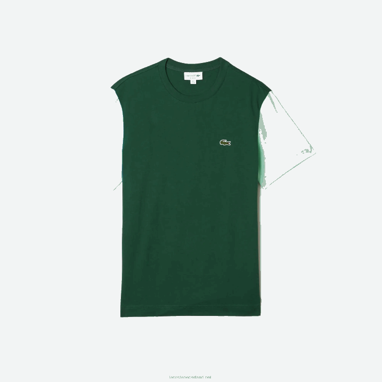 Lacoste Regular-fit T-shirt van katoenen jersey met kleurvlakken 0828H812 blauw lichtgroen 8at Heren