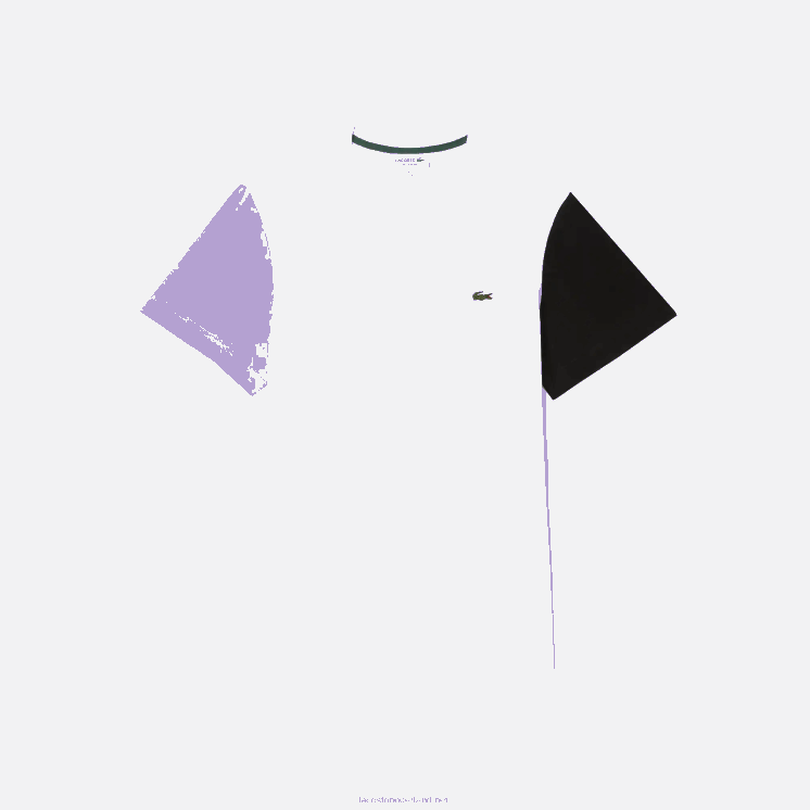 Lacoste Regular-fit T-shirt van katoenen jersey met kleurvlakken 0828H813 wit paars zwart uwx Heren
