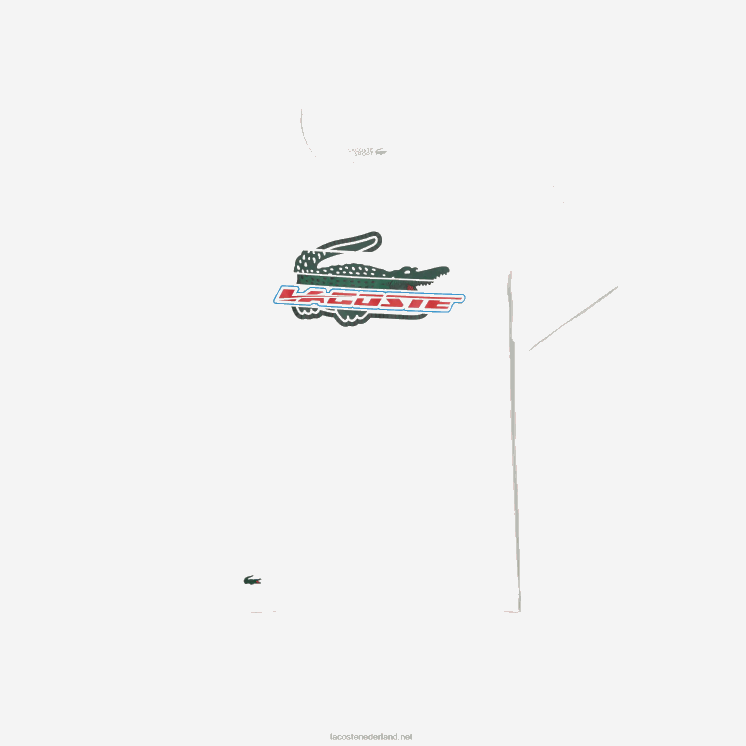 Lacoste T-shirt van biologisch katoen met normale pasvorm 0828H141 wit 001 Heren
