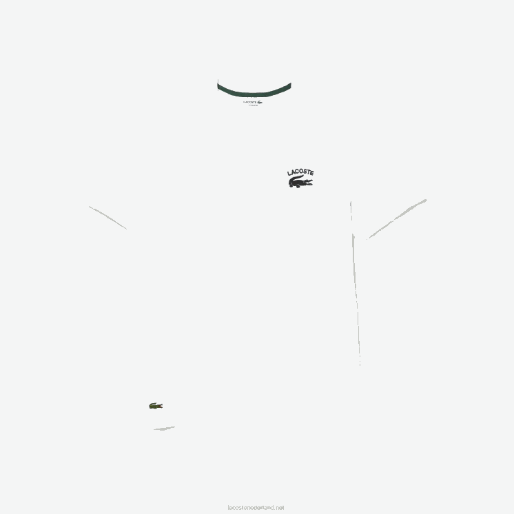 Lacoste T-shirt van katoenjersey met normale pasvorm 0828H103 wit 001 Heren