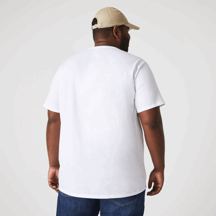 Lacoste T-shirt van pimakatoenjersey met ronde hals 0828H36 wit 001 Heren