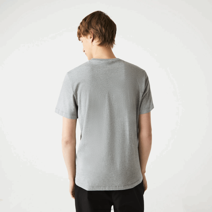 Lacoste katoenen T-shirt met ronde hals en handtekening en krokodillenprint 0828H760 grijze chine 4jv Heren