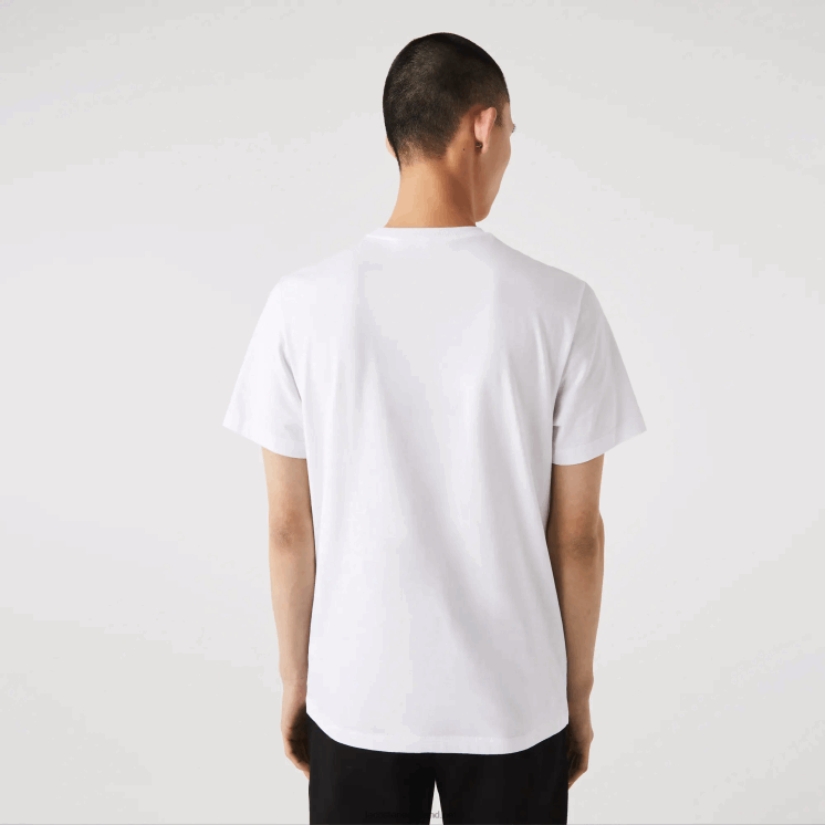 Lacoste katoenen T-shirt met ronde hals en handtekening en krokodillenprint 0828H761 wit 001 Heren