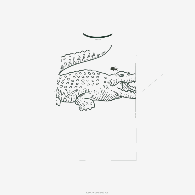 Lacoste losvallend jersey t-shirt - grote maat - groot 0828H227 wit 001 Heren
