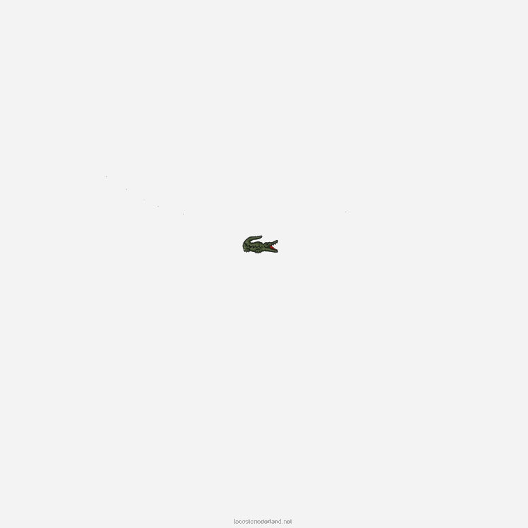 Lacoste losvallend jersey t-shirt - grote maat - groot 0828H227 wit 001 Heren