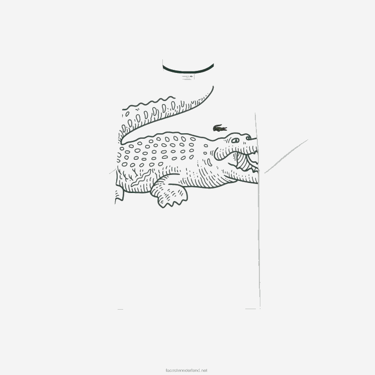 Lacoste losvallend katoenen t-shirt - grote maat - lang 0828H136 wit 001 Heren
