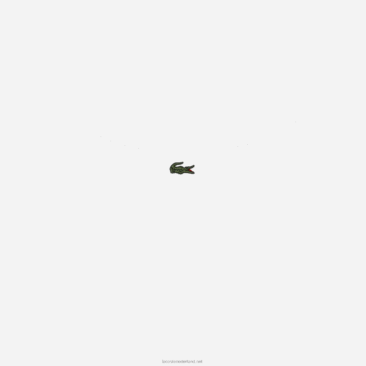 Lacoste losvallend katoenen t-shirt - grote maat - lang 0828H136 wit 001 Heren