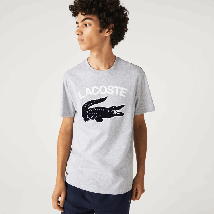 Lacoste regular fit XL T-shirt met krokodillenprint 0828H572 grijze chine ca Heren