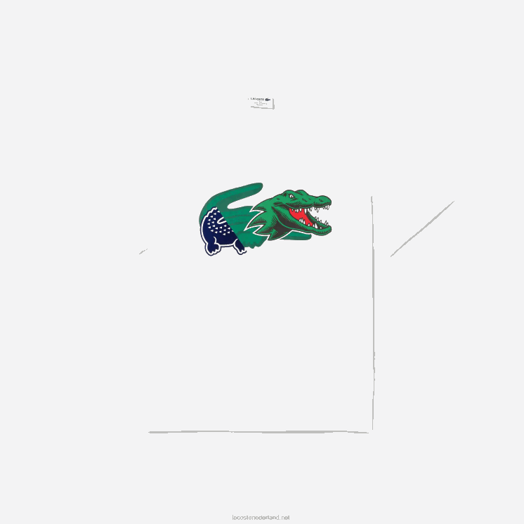 Lacoste relaxed fit oversized krokodil T-shirt 0828H608 wit 001 Heren