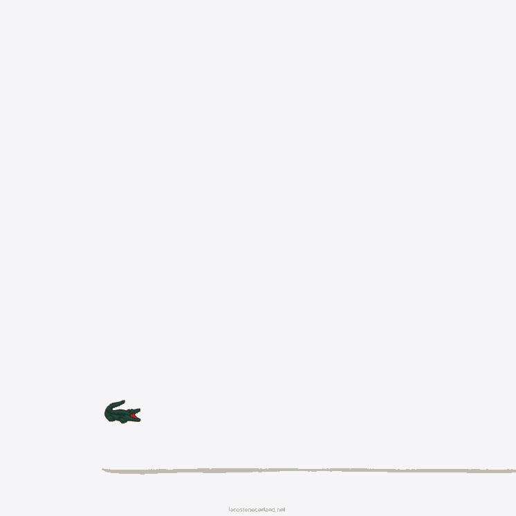 Lacoste sport miami open editie t-shirt 0828H215 wit 001 Heren