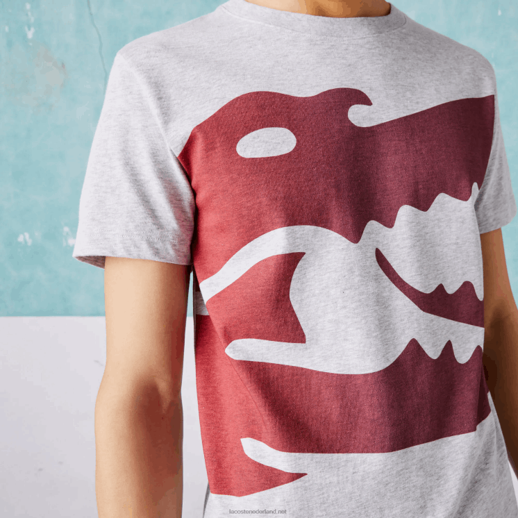 Lacoste sport novak djokovic croco biologisch katoenen t-shirt 0828H871 grijze chine ca Heren