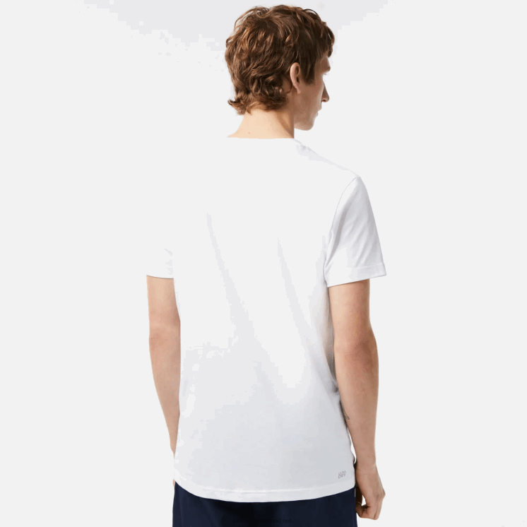 Lacoste sport regular fit t-shirt met contrast branding 0828H91 wit 001 Heren