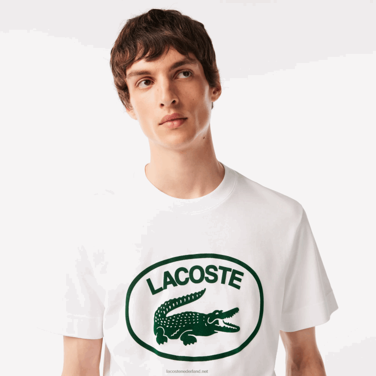 Lacoste ton-sur-ton katoenen T-shirt met relaxte pasvorm 0828H132 wit groen 737 Heren