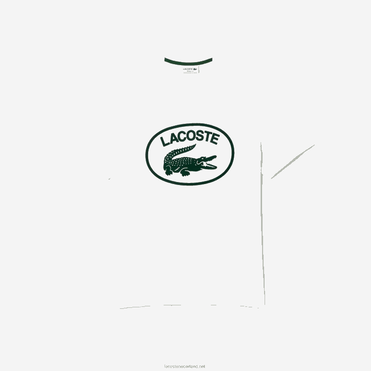 Lacoste ton-sur-ton katoenen T-shirt met relaxte pasvorm 0828H132 wit groen 737 Heren