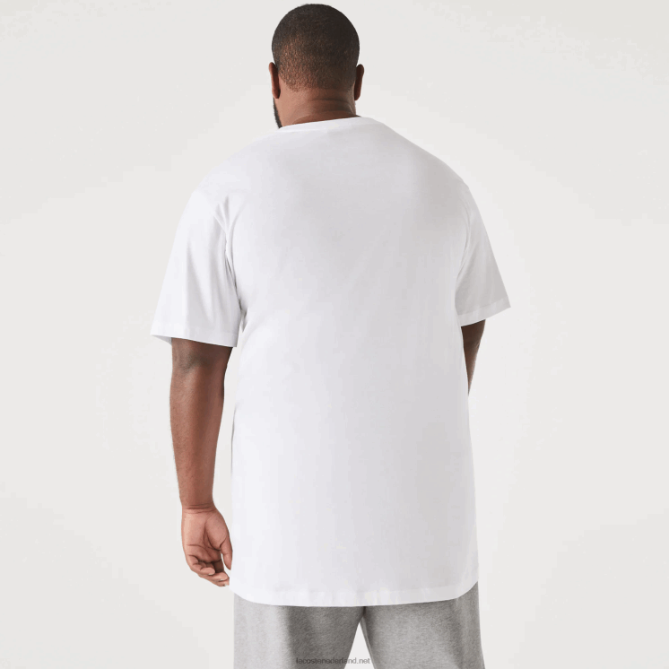 Lacoste xl regular fit T-shirt van pimakatoenjersey 0828H651 wit 001 Heren