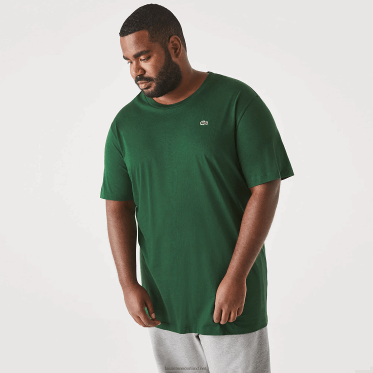 Lacoste xl regular fit T-shirt van pimakatoenjersey 0828H684 groen 132 Heren