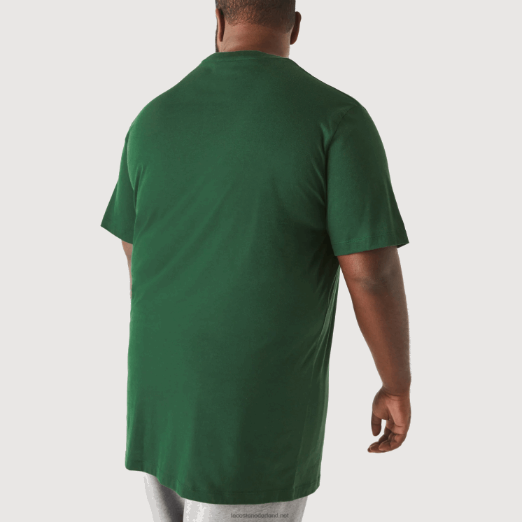 Lacoste xl regular fit T-shirt van pimakatoenjersey 0828H684 groen 132 Heren