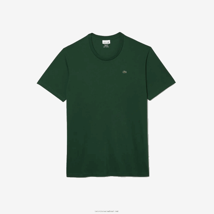 Lacoste xl regular fit T-shirt van pimakatoenjersey 0828H684 groen 132 Heren