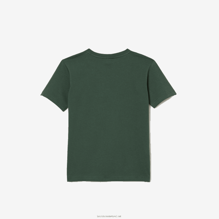 Lacoste T-shirt van katoenen jersey met ronde hals 0828H3149 groen 5hx kinderen