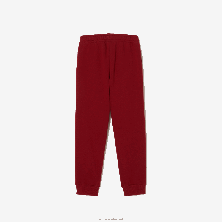 Lacoste trainingsbroek met kleurvlakken 0828H3199 bordeaux ja kinderen