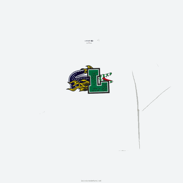 Lacoste oversized T-shirt van biologisch katoen 0828H2567 wit 001 vrouwen